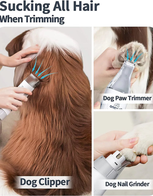 Load image into Gallery viewer, 7 in 1 Dog Grooming Kit, Low Noise Pet Grooming Vacuum with 1.5 L Dust Cup, Dog Vacuum for Shedding Grooming, with 7 Professional Grooming Tools for Dogs Cats Pet Hair &amp;Home Cleaning, Purple
