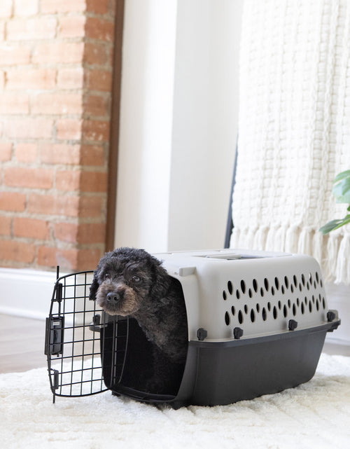Load image into Gallery viewer, Pet Portable Kennel for Dogs, Hard-Sided Travel Carrier, Durable, Metal Door, Black &amp; Grey, for Pets up to 10 Lbs, 19" L X 12.3" W X 10.8" H
